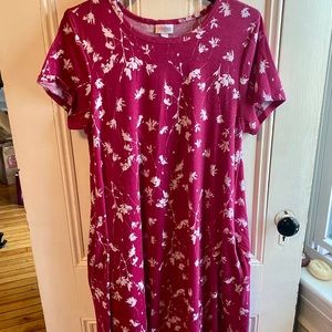 Lula Roe Jessie Swing Dress Large